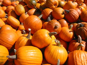 Pumpkins, Fall