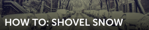 How To, Shovel, Snow, Cars, Covered, Trees, Snowstorm