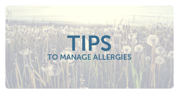 Tips, Allergies, Pollen, Dandelion
