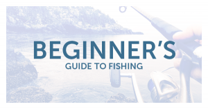 Fishing, Guide, How-To, Beginners Guide, Lake, Boat, Fishing Rod