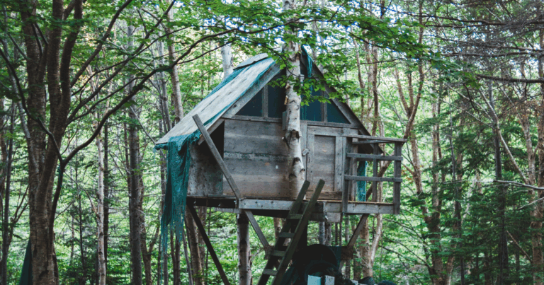 treehouse