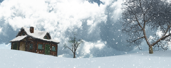 Ohio Winter Home