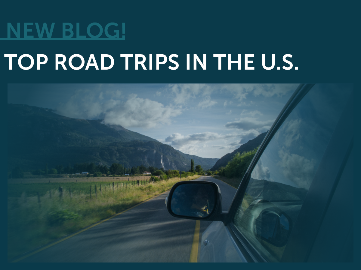 Car, Road, Mountains, Mirror, Forest