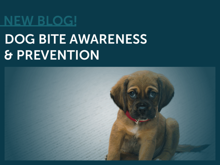 Puppy/Doggy, Dog Bite Prevention & Awareness